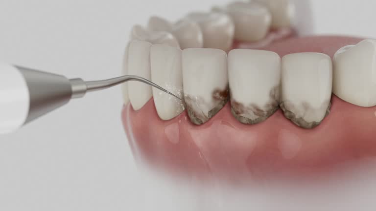Reliable Dental contractor in Pea Ridge, WV by Dentist Open Now